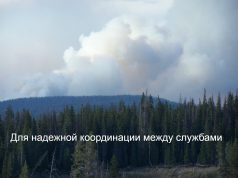 Как цифровизация поможет в борьбе с катастрофами