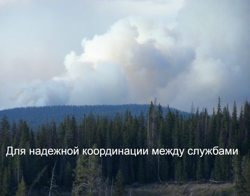 Как цифровизация поможет в борьбе с катастрофами