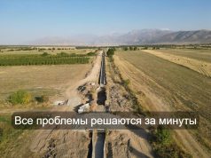 Как цифровизация помогает аграриям Кзылординской области