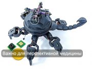 Скорпионоподобные датчики давления научили роботов чувствовать воздух