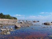 Цифровизация.В 2026 году планируется ввести в эксплуатацию Национальную информационную систему водных ресурсов