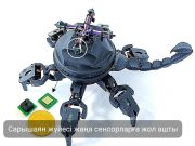 Зерттеушілер қысымды дәл өлшейтін бионикалық датчик ойлап тапты