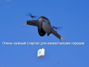 Индийский стартап Airbound привлёк $8,65 млн на разработку дронов с доставкой за один цент