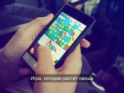 Сажай в игре – получай дома