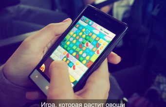 Сажай в игре – получай дома Home