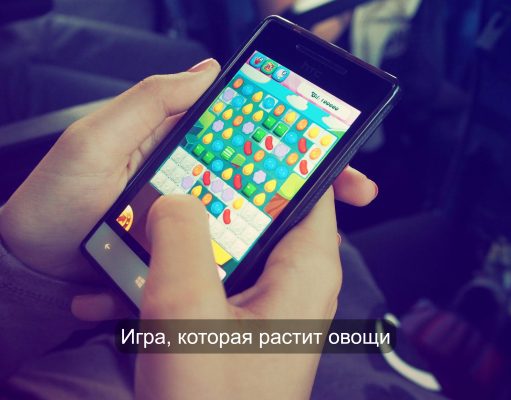 Сажай в игре – получай дома