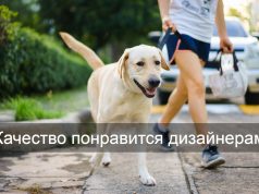 Теперь ИИ-редактор изображений способен “переснять” кадр