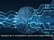 Елордада жасанды интеллектіні дамыту жөніндегі кеңестің алғашқы отырысы өтті