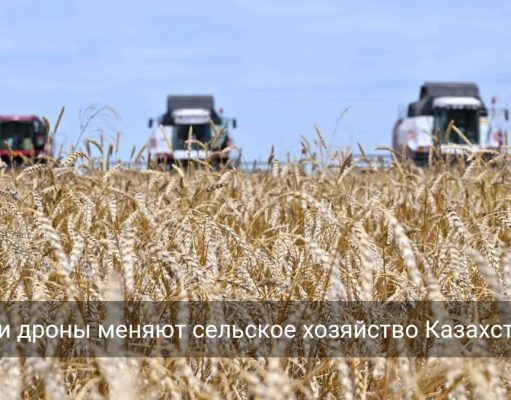 Цифровые технологии и ИИ трансформируют сельское хозяйство Казахстана