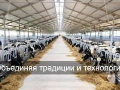 Цифровое село — новая реальность