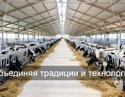 Цифровое село — новая реальность