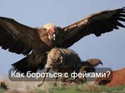 Кто и зачем распространяет фейки?