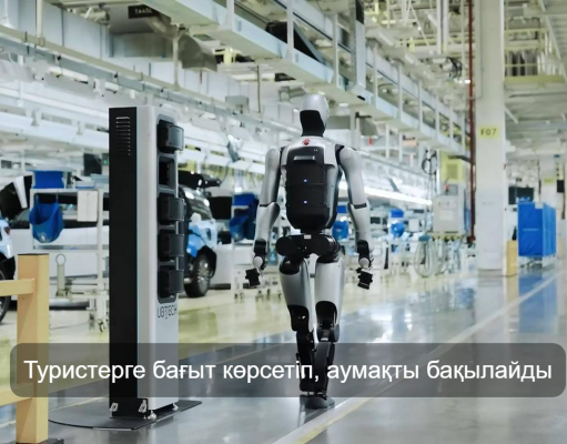 Қытай шекара қауіпсіздігін роботтар арқылы күшейтпек