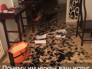 “Срочно! Педофилы усыпляют овчарок наркотическими леденцами!”