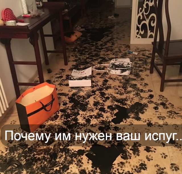 1638210380_20-na-dache-pro-p-razgrom-v-kvartire-foto-21 (2)