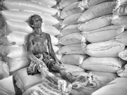 «Жарық жол» бағдарламасы туралы ақпарат жалған болып шықты