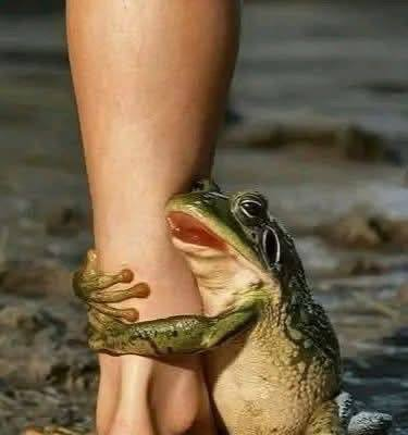 Микки Маус пен ChatGPT: Disney OpenAI-мен қысқа видеоларға арналған келісім жасасты