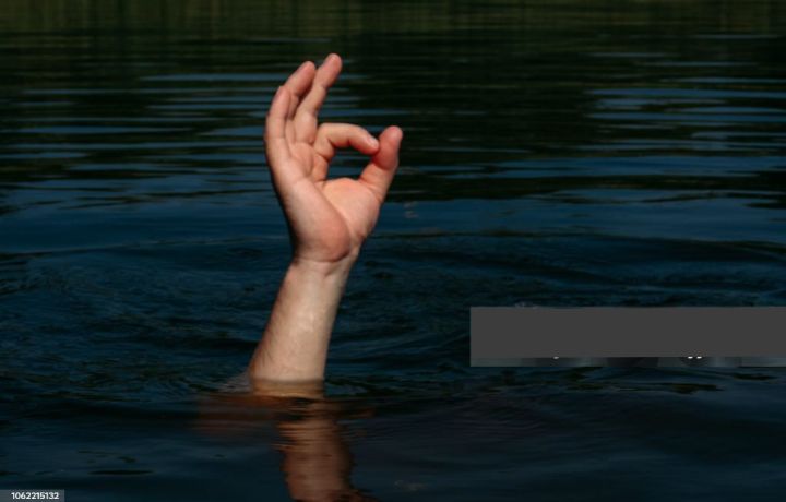 “Срочно! Педофилы усыпляют овчарок наркотическими леденцами!”