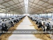 Цифрлық ауыл – бүгінгі күннің шындығы