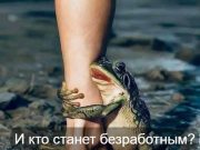 Микки Маус и ChatGPT: Disney заключила сделку с OpenAI на короткие ролики Home