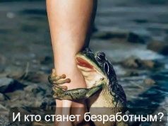 Микки Маус и ChatGPT: Disney заключила сделку с OpenAI на короткие ролики