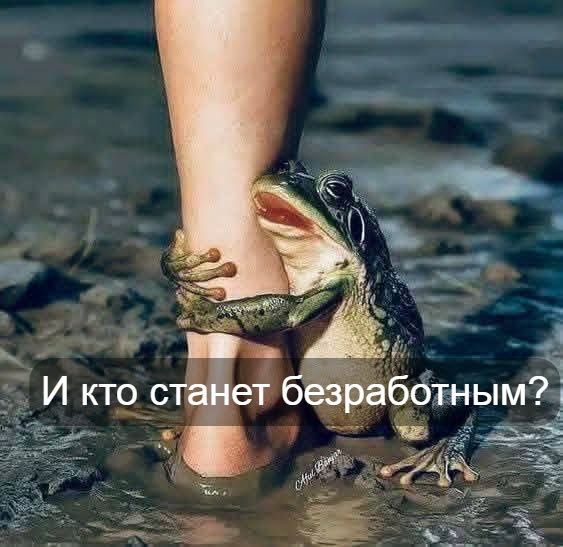 591755280_122227339592347955_694774979727397971_n