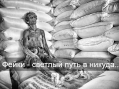 Информация о запуске программы «Светлый путь» – фейк