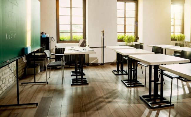 “Срочно! Педофилы усыпляют овчарок наркотическими леденцами!”