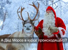 Мошенники начали использовать новогодний онлайн-челлендж «тайный Санта»