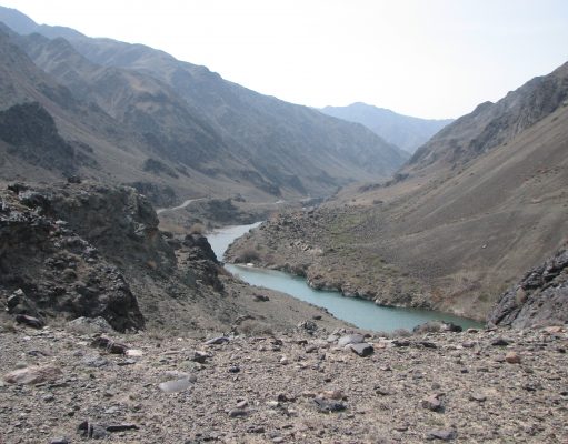 «Цифра» для аграриев