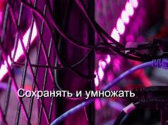 В Казахстане создадут крипторезерв и запустят регулируемый рынок цифровых активов