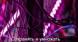 В Казахстане создадут крипторезерв и запустят регулируемый рынок цифровых активов Home