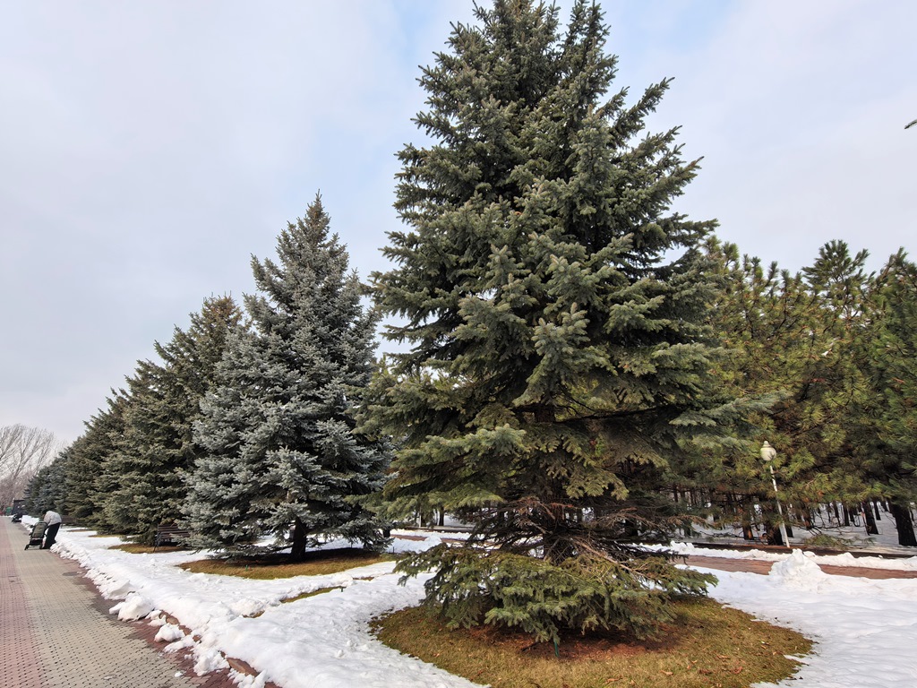 Huawei Mate X7 – утонченная пластичность с серьезным набором камер