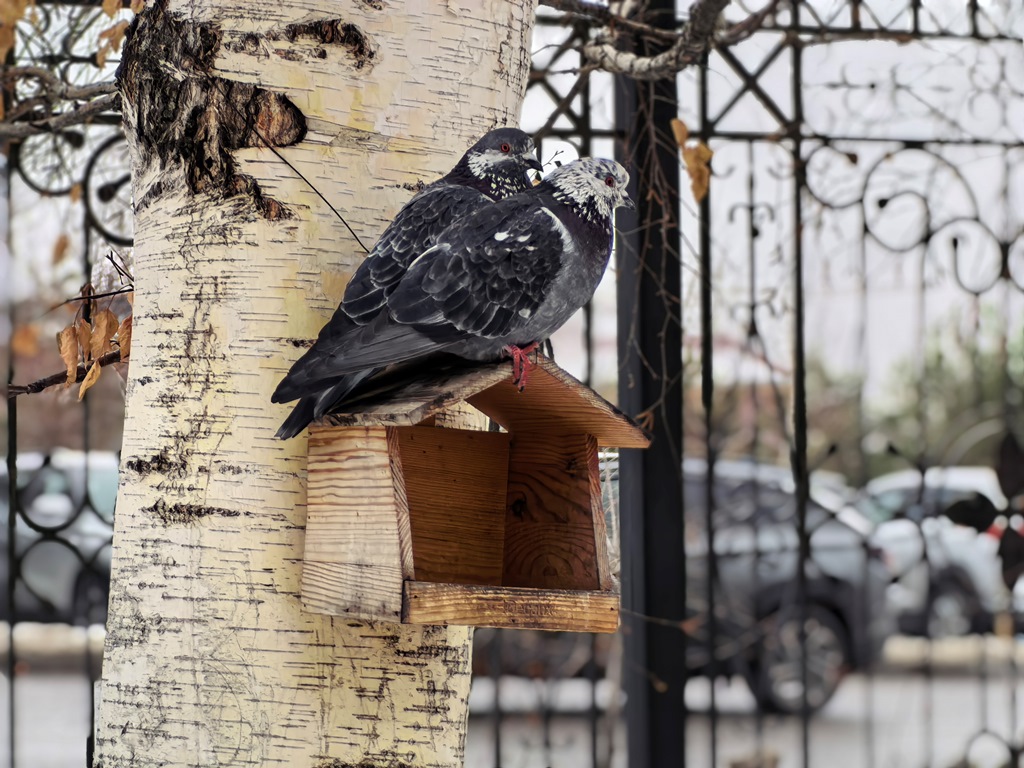 Huawei Mate X7 – утонченная пластичность с серьезным набором камер