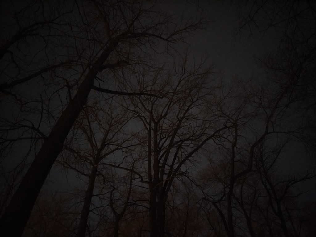 Huawei Mate X7 – утонченная пластичность с серьезным набором камер