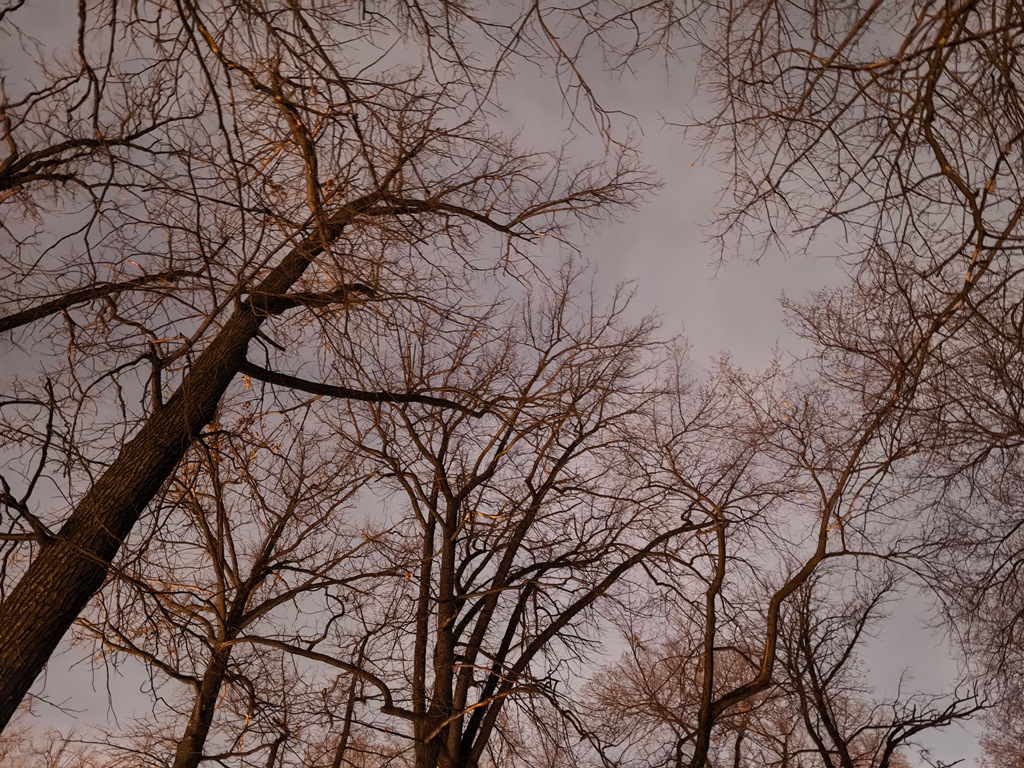 Huawei Mate X7 – утонченная пластичность с серьезным набором камер