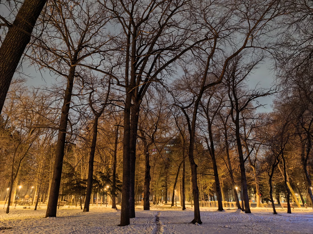 Huawei Mate X7 – утонченная пластичность с серьезным набором камер