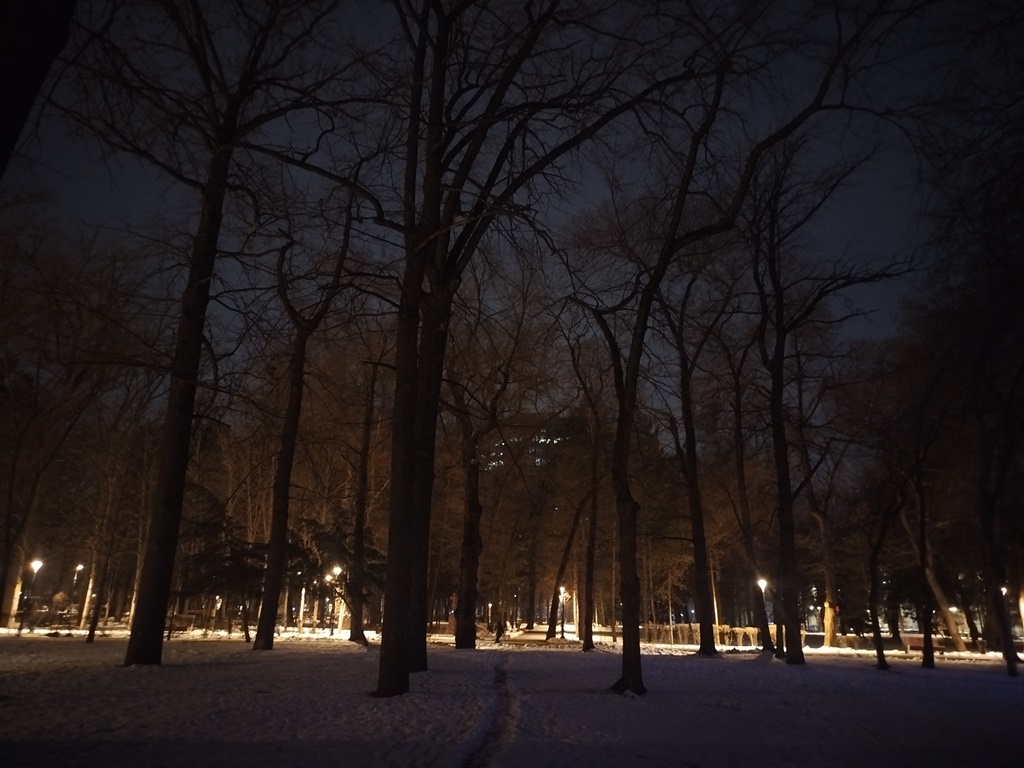 Huawei Mate X7 – утонченная пластичность с серьезным набором камер