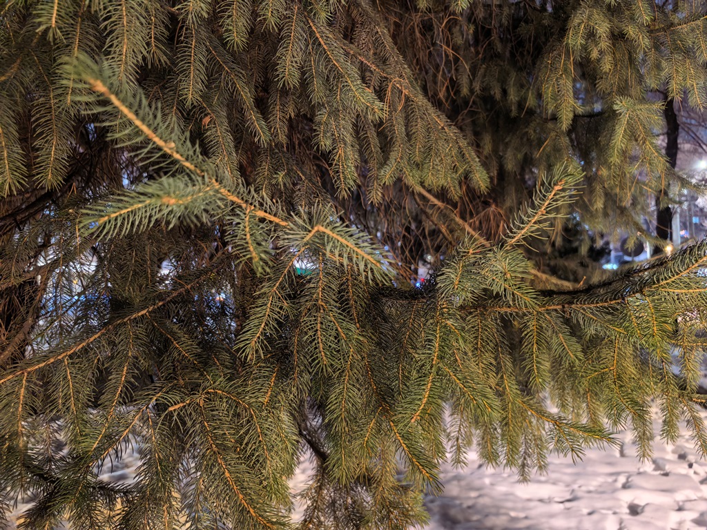 Huawei Mate X7 – утонченная пластичность с серьезным набором камер