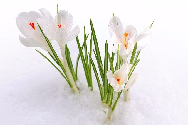 photo_5343959873927977131_x