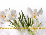 Наурыз құтты болсын! Home