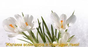 Наурыз құтты болсын! Home