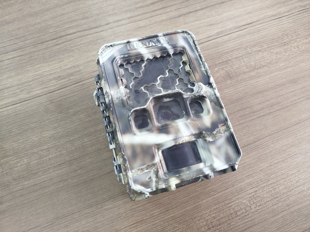 О снежном барсе, современных методах наблюдения и AI – технологиях в изучении животного мира (часть 1)