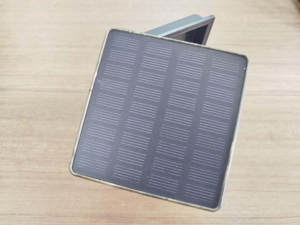 О снежном барсе, современных методах наблюдения и AI – технологиях в изучении животного мира (часть 1)