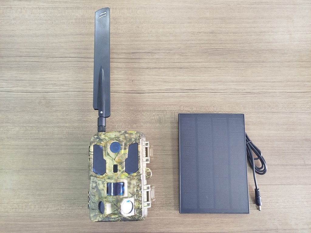 О снежном барсе, современных методах наблюдения и AI – технологиях в изучении животного мира (часть 1)