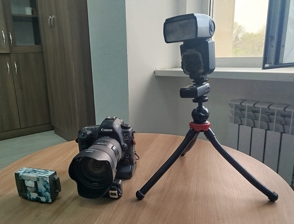 О снежном барсе, современных методах наблюдения и AI – технологиях в изучении животного мира (часть 1)