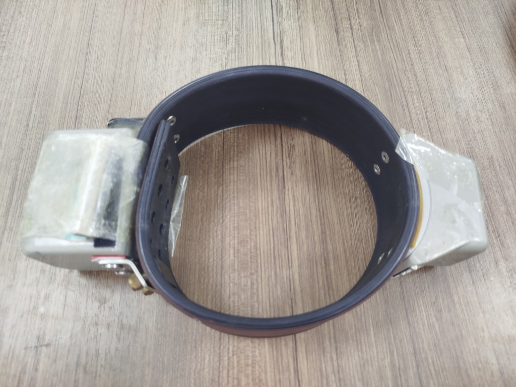 О снежном барсе, современных методах наблюдения и AI – технологиях в изучении животного мира (часть 1)