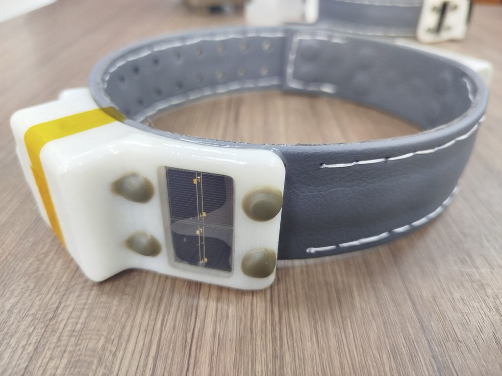 О снежном барсе, современных методах наблюдения и AI – технологиях в изучении животного мира (часть 1)