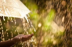 Қазақстанда Smart Water Zone жобасы іске қосылды Жаңалықтар