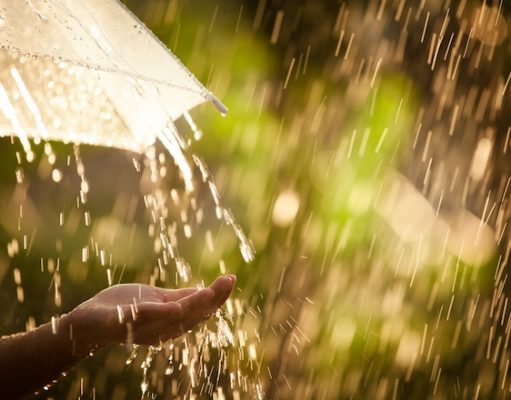 Қазақстанда Smart Water Zone жобасы іске қосылды